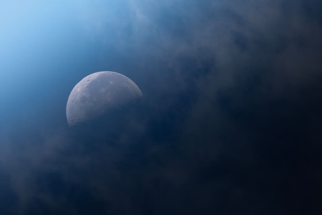 《白月梵星》首播热度破7000+？口碑两极分化原因解析